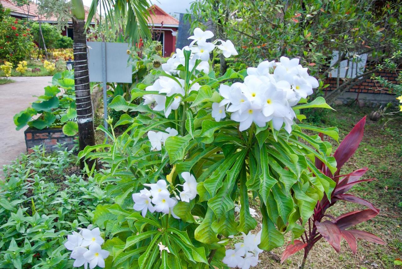 Phoumrumduol Bungalow Kampot Kültér fotó