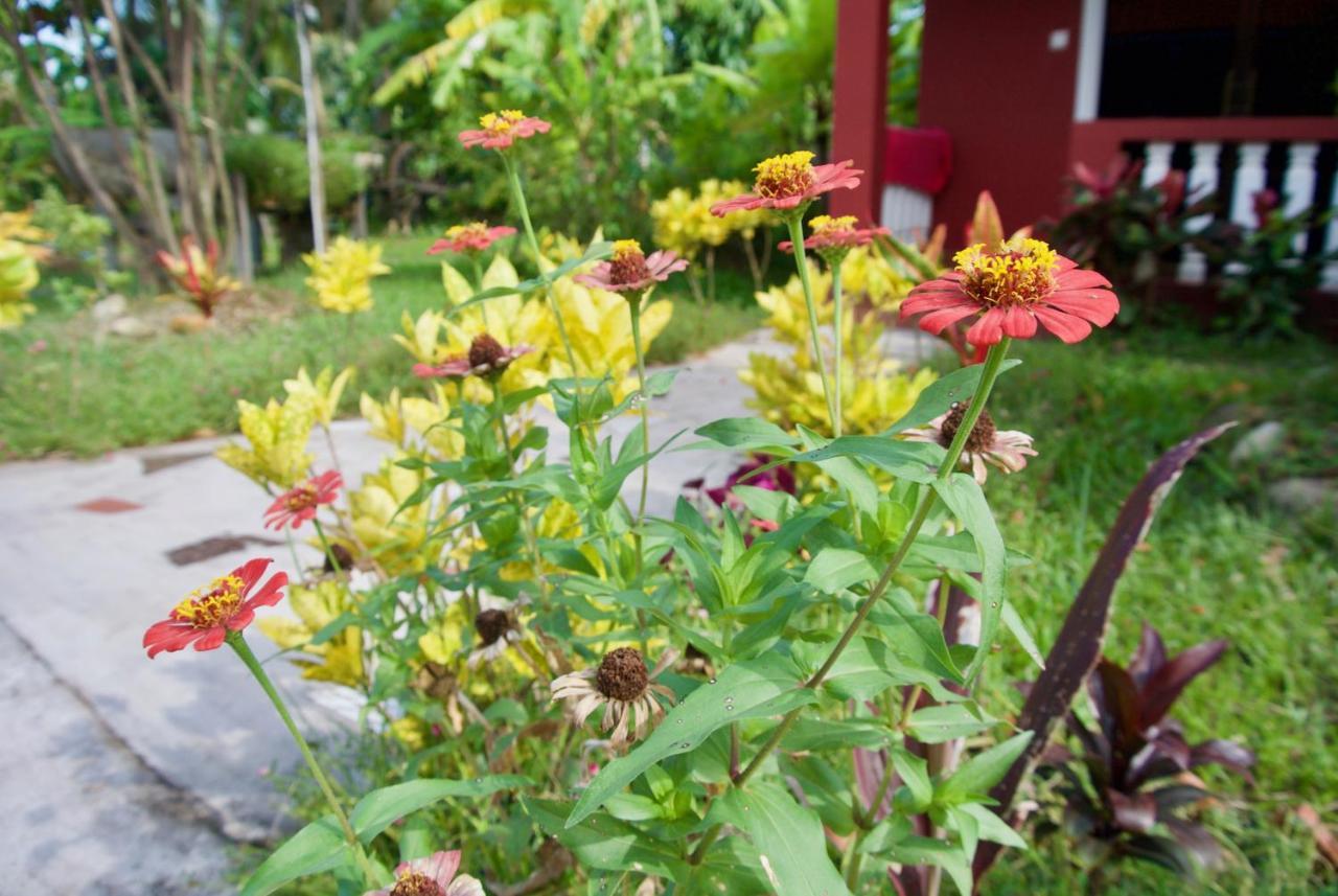 Phoumrumduol Bungalow Kampot Kültér fotó