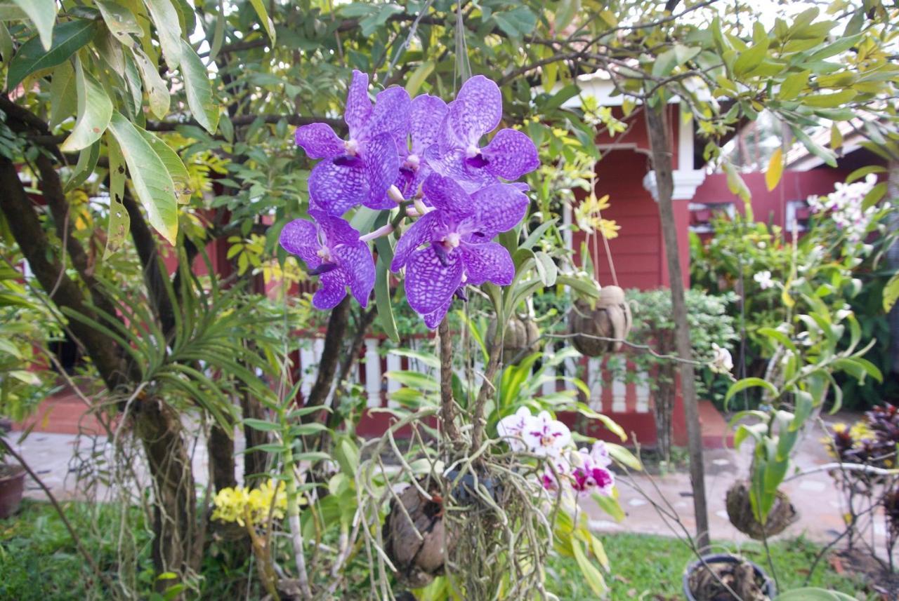 Phoumrumduol Bungalow Kampot Kültér fotó